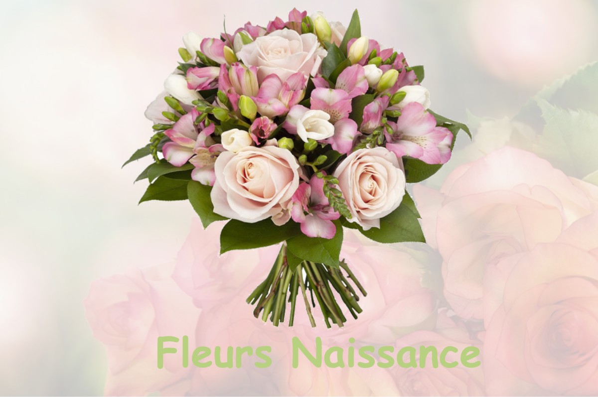fleurs naissance LA-CHAUSSEE